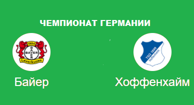 байер хоффенхайм